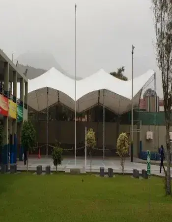 Colaboración 1